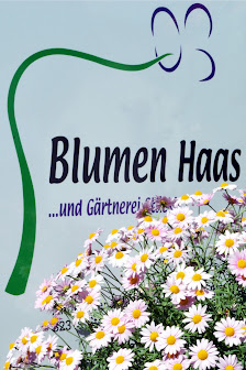 Blumen Haas