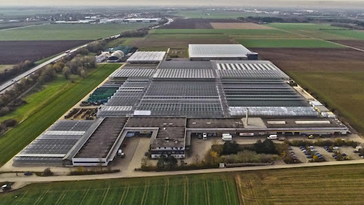 Gärtnerei Böck GmbH & Co. KG