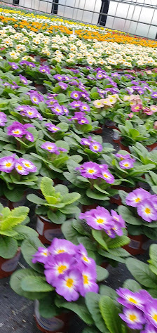 Wilfried Harden Gartenbau Inhaber Andre Harden