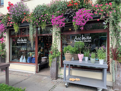 Aschwin Blumen u. Dekos