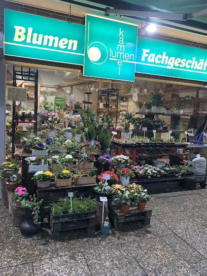 Blumen Kammel