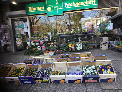 Blumen Kammel
