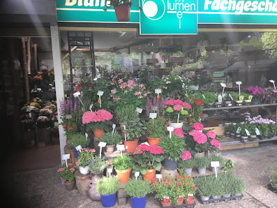 Blumen Kammel