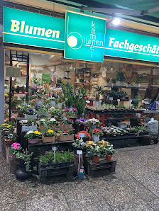 Blumen Kammel