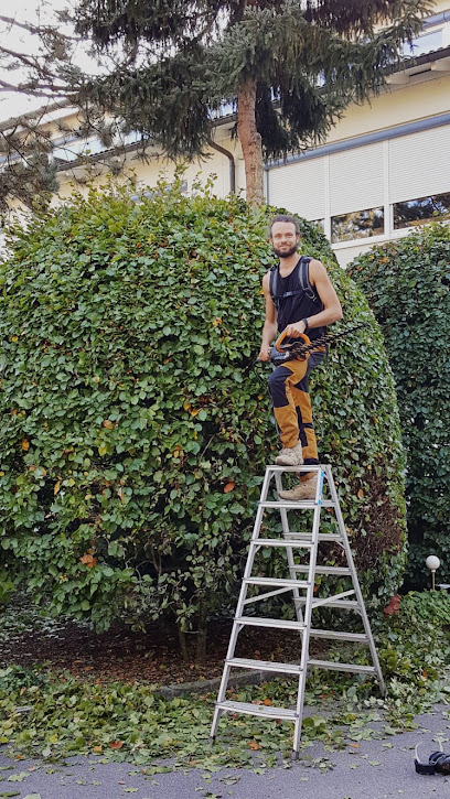 Gartengestaltung Scheffler