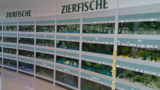 Dehner Garten-Center