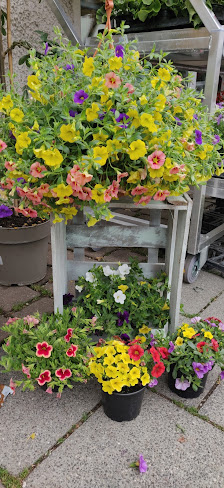 Blumen Baumann