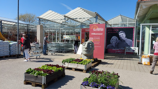 Gärtnerei Scherdi - Hofstetten