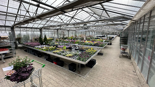 Bauer Gärtnerei und Meisterbetrieb für Floristik