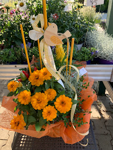 Bauer Gärtnerei und Meisterbetrieb für Floristik