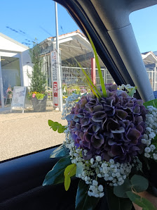 Blumen Distler - Das Blumenparadies in Gunzenhausen