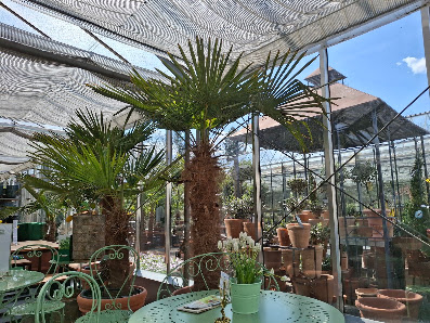 Gärtnerei Floristik Cafe' Hoegner
