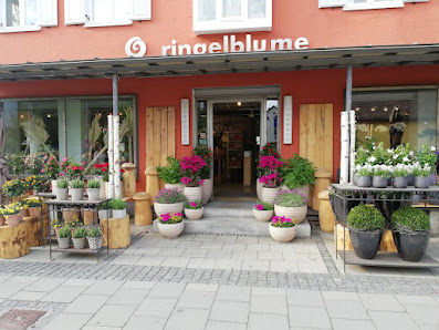 Ringelblume-Garching