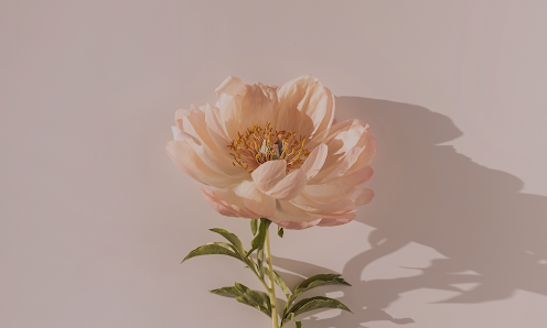 Blumenhandwerk by Stefanie Kablau Poing