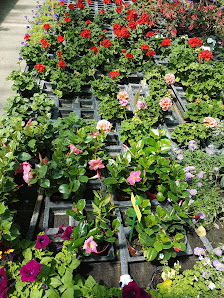 Gärtnerei u. Gartengestaltung Merkl
