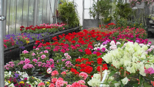 Gärtnerei u. Gartengestaltung Merkl
