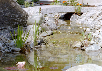 Garten & So