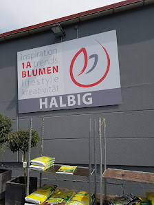1a Blumen Lauf