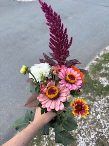 Blumen zum Selberschneiden