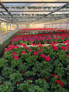 Blumen Gauch