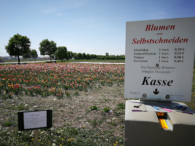 Blumen zum Selbstschneiden