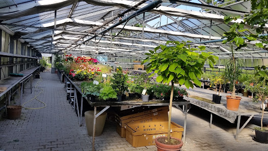 Gärtnerei Groß