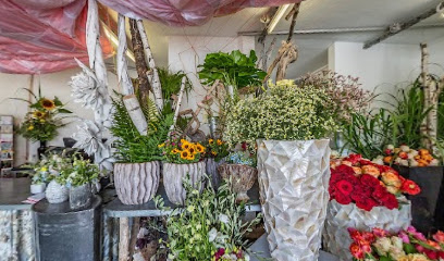 Blumen Schöner