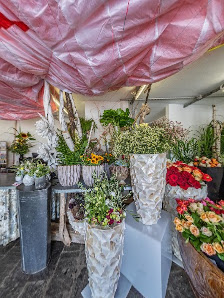 Blumen Schöner