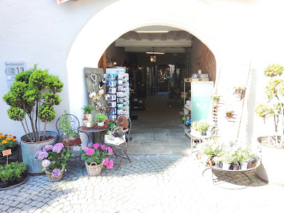 Blumen im Ratskeller