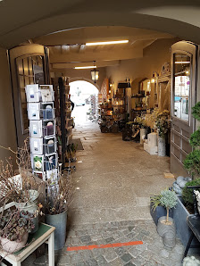 Blumen im Ratskeller
