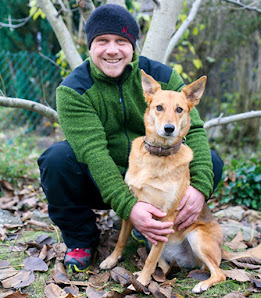 Fischer Danny Baum- und Gartenpflege