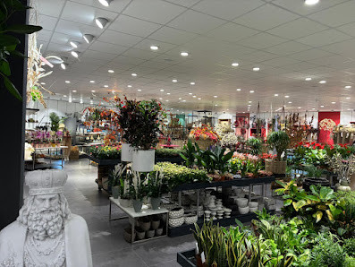 Lechner Floristik