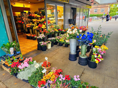 Blumen Zaryaab Schlump