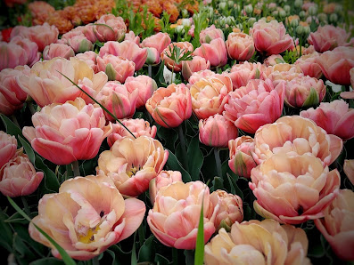 RUPFN by Sigrid - Der Florale Waldgarten