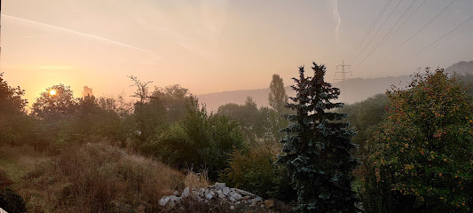 RUPFN by Sigrid - Der Florale Waldgarten