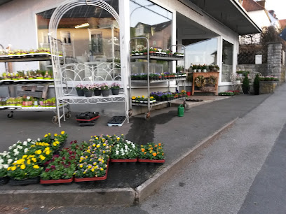 Blumenecke in Weiher Schwarz Andrea