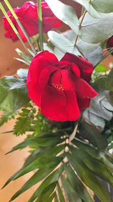 Floranium Pudell
