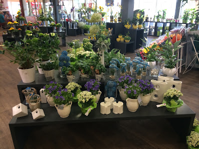 Blumen Edelweiß Bad Neustadt 2