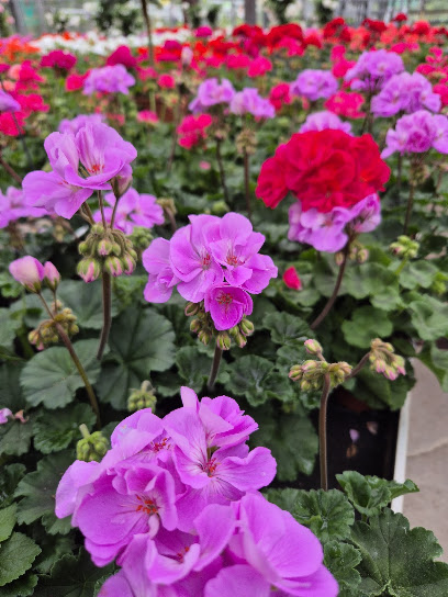 Gartengestaltung Förster