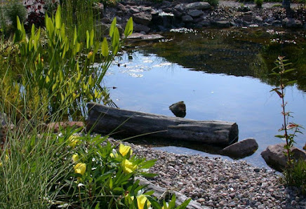 Gartengestaltung Förster
