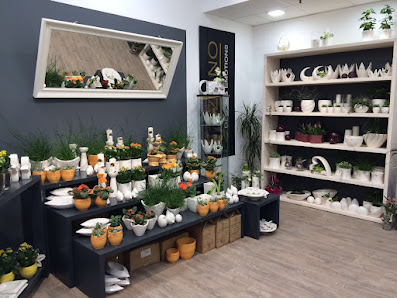 Blumen Edelweiß Bad Neustadt 1