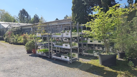 Gärtnerei Herzog