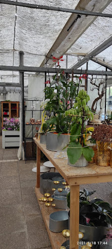 Blumen Többe