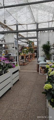 Blumen Többe