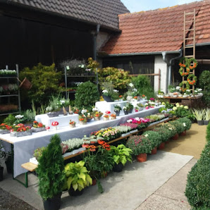 Gärtnerei Dinkel