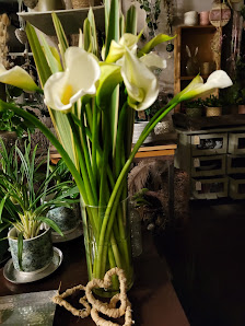 Floristerei Lober