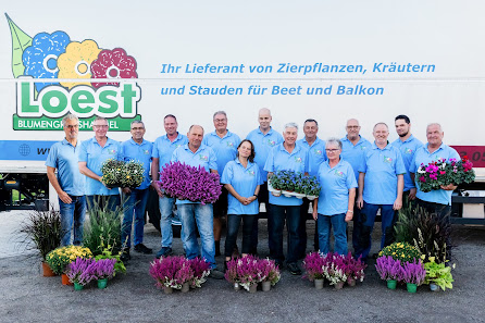 Loest Blumengroßhandel e.K.
