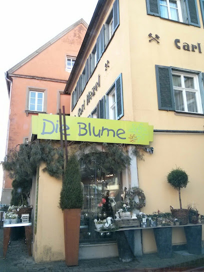 Die Blume 24/7