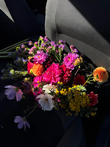 Blumen- und Kürbisfeld vom Milchviehhof Uysmüller