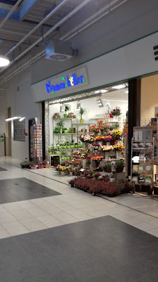Blumen Heller